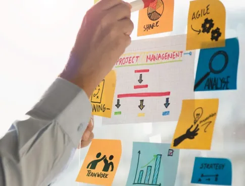 3 bonnes raisons de choisir le Bachelor Management et Gestion des Entreprises