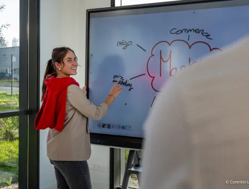 Sp&eacute;cialisation en d&eacute;veloppement commercial 