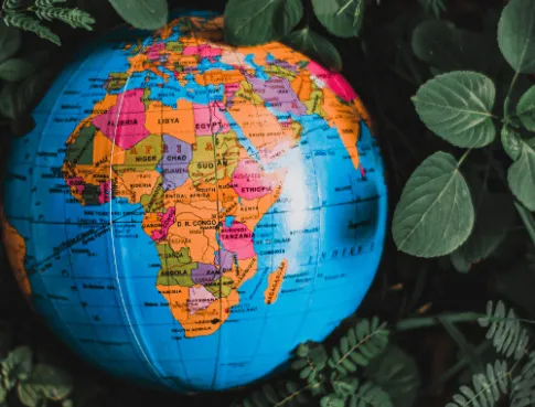 Se pr&eacute;parer &agrave; travailler dans un environnement international