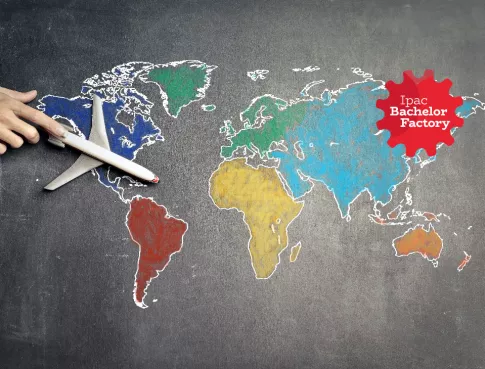 Bachelor Business International : un parcours complet