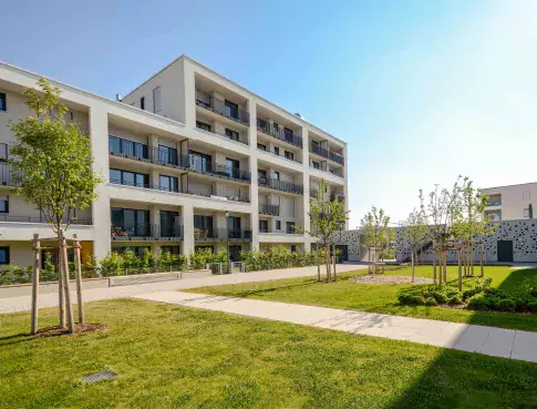 Participez à notre webinaire sur la formation en Immobilier