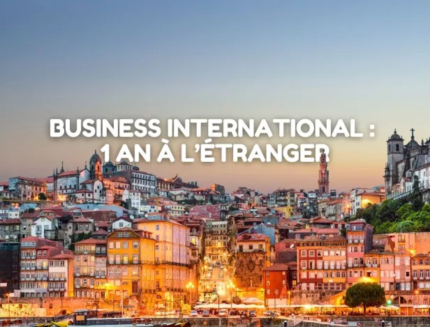 une-annee-a-porto-business-international-ipac-bachelor-factory
