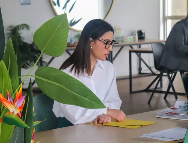 histoire-alternance-apprentissage-ecole-commerce-lyon