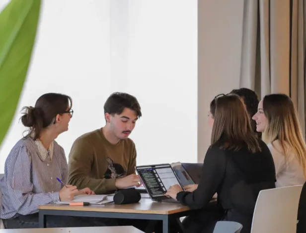 bachelor-commerce-plan-action-commercial-bac+3-ecole-lyon
