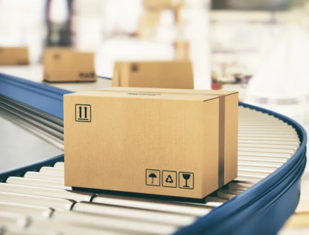 ecole-commerce-IBF-BLT-carton