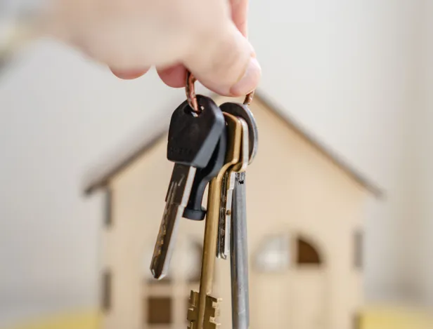 Ipac-Bachelor-Factory-Montpellier-Bachelor-Immobilier-1
