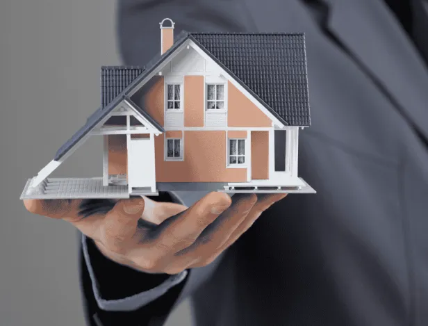 Bachelor-Immobilier-(1)