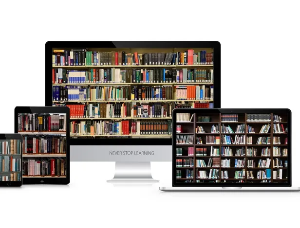 bahcelor-commer-alternance-albertville-compétences