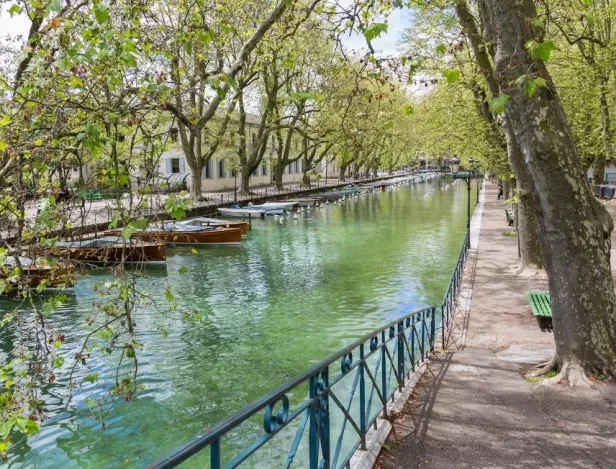 IBF-Bachelor-Initial-Annecy