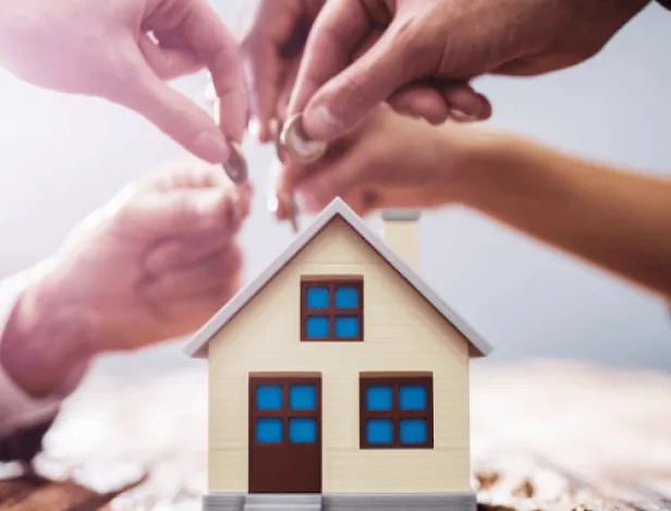 Ipac-Bachelor-Apprendre-le-m&eacute;tier-de-l&rsquo;immobilier-sur-le-terrain