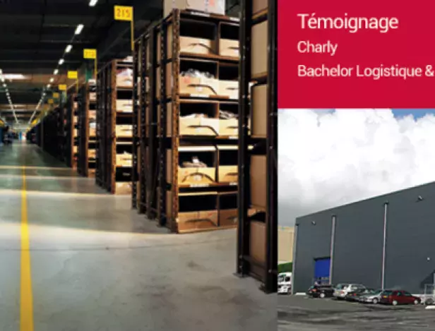 bachelor-logistique-transport