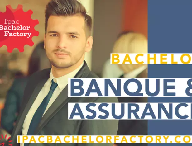 format-vignette-ipac-bachelor-factory-28