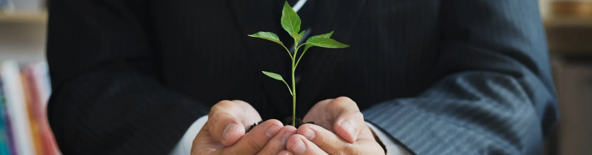 communication-environnement-ecole-de-commerce